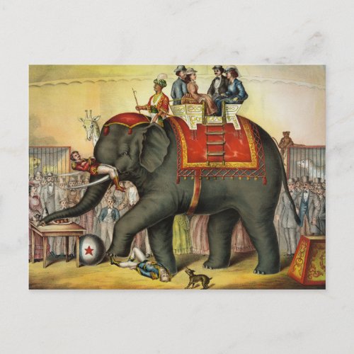 Vintage Circus Postcard