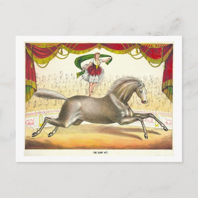 Vintage Circus Poster for Horse Act with Scarves Postcard (Front)
