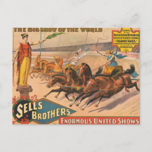 Vintage Circus Poster Of A Roman Chariot Race Postcard