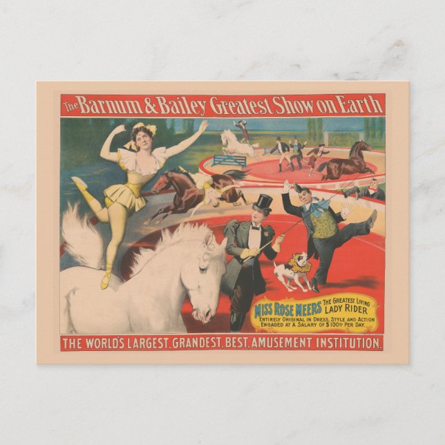 Vintage Circus Poster Of Miss Rose Meers Postcard (Front)