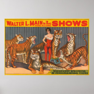 Vintage Circus Poster Of Woman With Six Tigers.