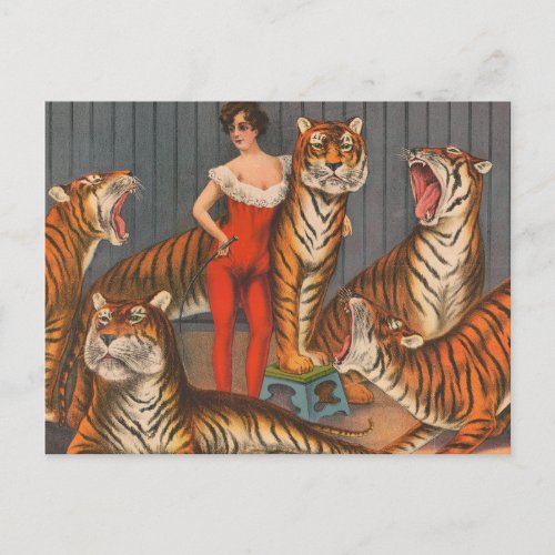 Vintage Circus Poster Of Woman With Six Tigers Postcard