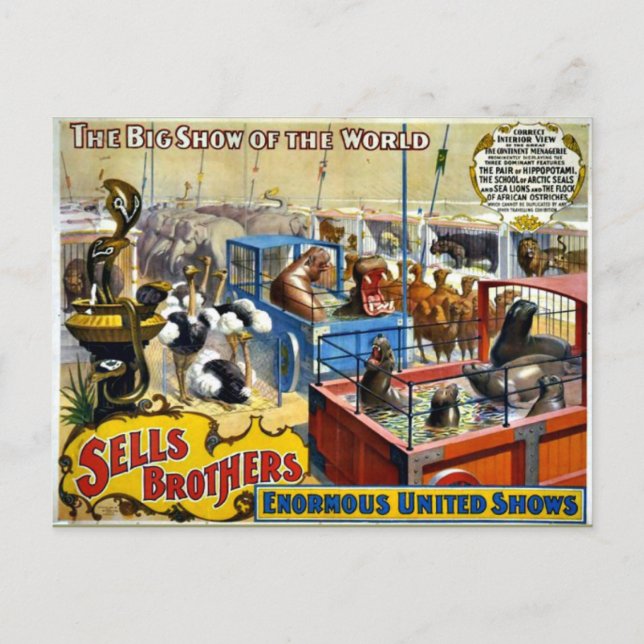 Vintage Circus - Sells Brothers Circus Postcard (Front)