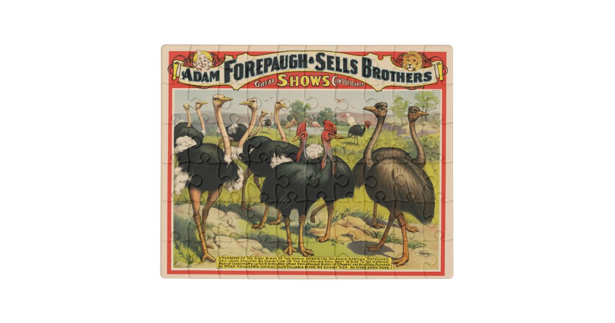 Vintage Circus Showing Ostriches And Large Birds Jigsaw Puzzle Zazzle