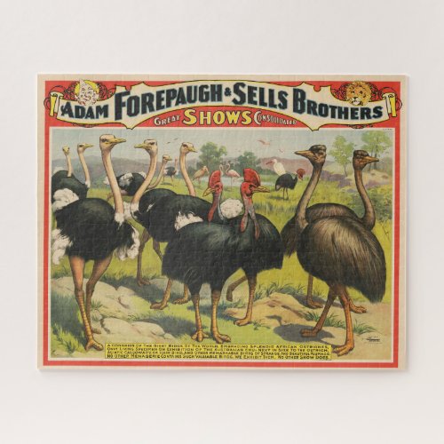 Vintage Circus Showing Ostriches And Large Birds Jigsaw Puzzle