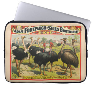 Vintage Circus Showing Ostriches And Large Birds. Laptop Sleeve