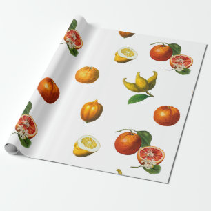 Vintage citrus botanical wrapping paper