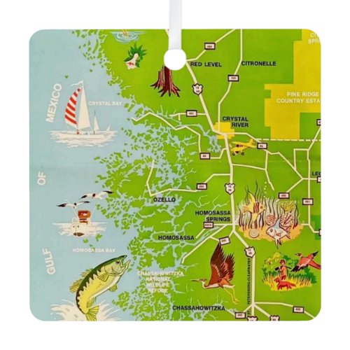 Vintage Citrus County Florida Map Ornament