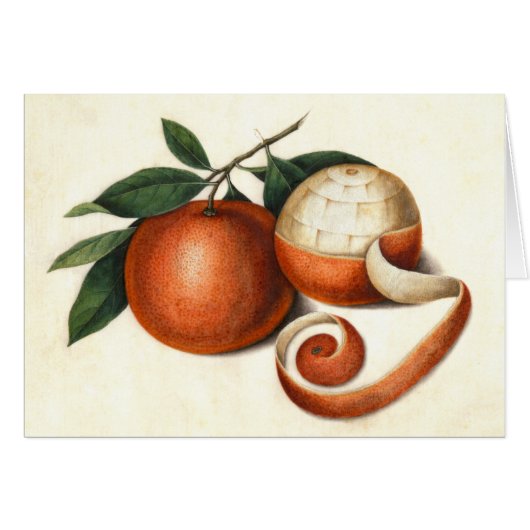 Vintage Citrus Fruit - Antique Chinese Oranges (Front Horizontal)