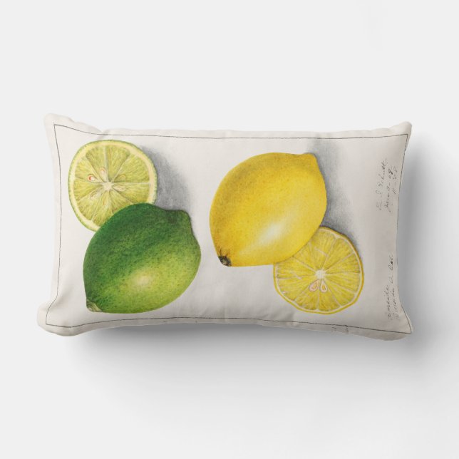 Vintage Citrus Lumbar Pillow (Front)