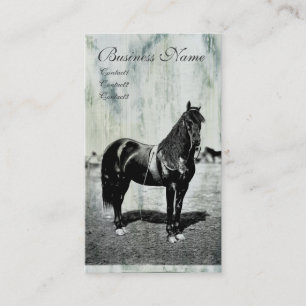 Vintage Civil War Union Horse Business Cards