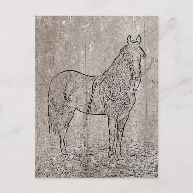 Vintage Civil War Union Horse Postcard (Front)