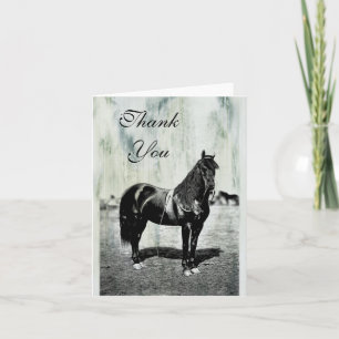 Vintage Civil War Union Horse Thank You Note Card