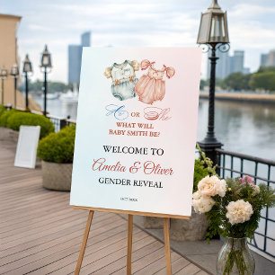 Vintage Classic He or She Baby Outfit Welcome Sign