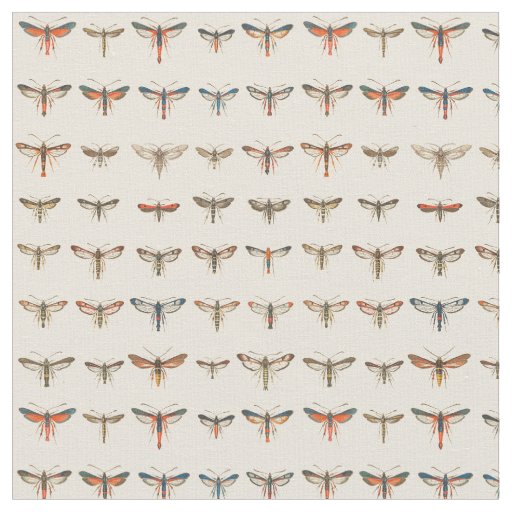 Vintage Clearwing Moths Fabric
