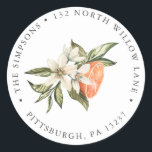 Vintage Clementine & Greenery  Return Address  Classic Round Sticker<br><div class="desc">Dress up your cards and invitations with these adorable return address stickers. Featuring watercolor orange clementines and greenery to match our Vintage Clementine & Greenery Collection found on my Zazzle shop. Customize with your address.</div>
