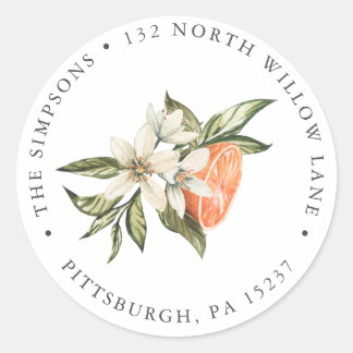 Vintage Clementine & Greenery  Return Address  Classic Round Sticker