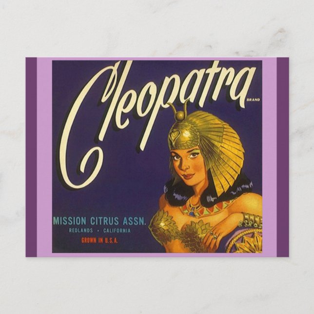 Vintage Cleopatra Produce Crate Labeling Postcards (Front)
