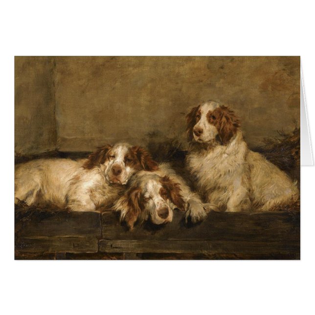 Vintage - Clumber Spaniel Dogs, Cards (Front Horizontal)