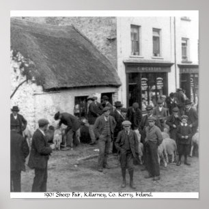 Vintage Co. Kerry Ireland, Killarney Sheep Fair Poster