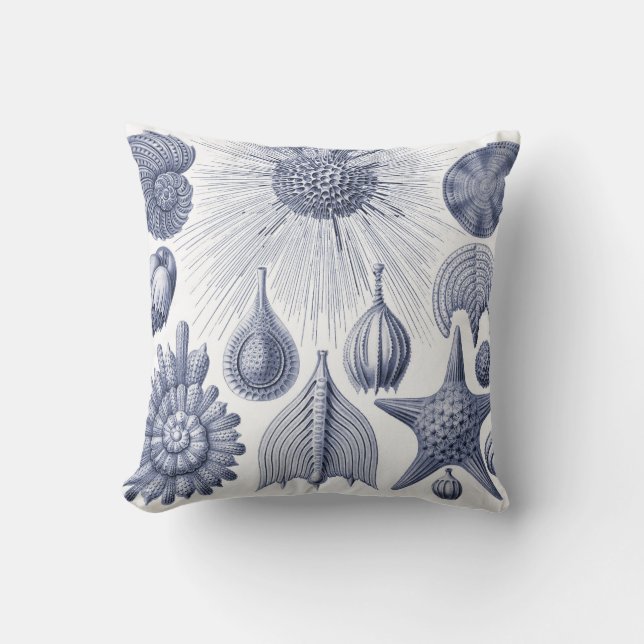 Vintage Coastal Blue and WHite Illustration pillow (Front)