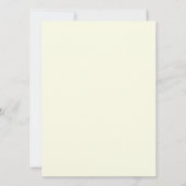 Vintage Coastal Survey Map Chart Provincetown (Back)