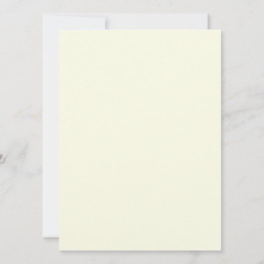 Vintage Coastal Survey Map Chart Provincetown (Back)