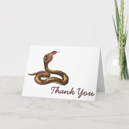 Vintage Cobra Snake Illustration Thank You Card