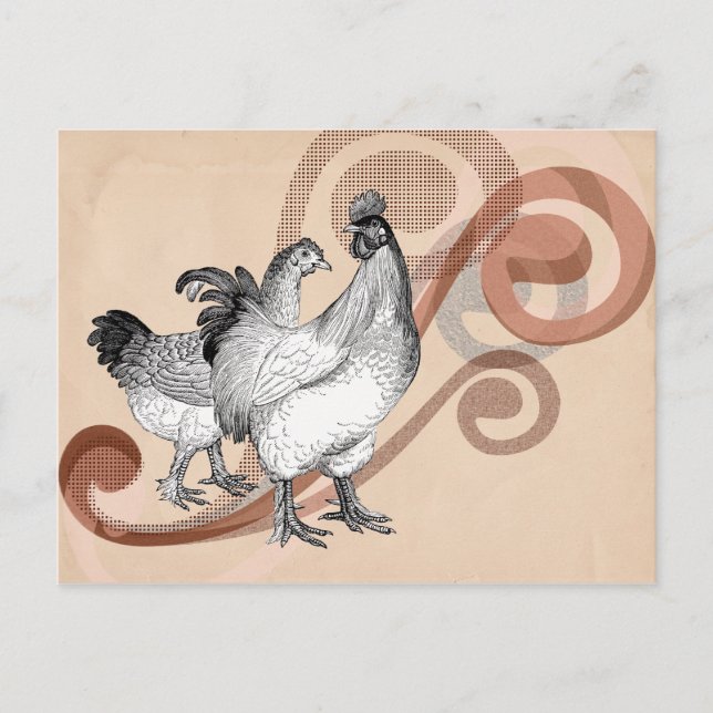 Vintage Cochin Chickens Postcard (Front)