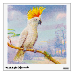 Vintage Cockatoo Drawing Wall Sticker