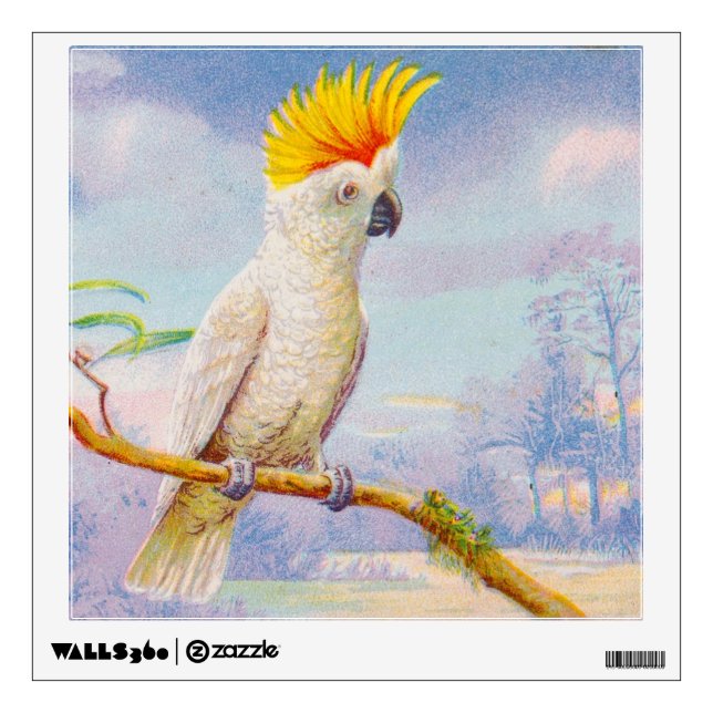 Vintage Cockatoo Drawing Wall Sticker (Front)