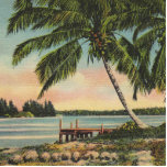 Vintage Coconut Palm Tree Tropical Breeze Sunset Cutout<br><div class="desc">Escape to a sun-drenched paradise with this beautiful vintage tropical postcard featuring a classic palm tree silhouette against a soft island sunset. Evoking the nostalgic charm of Old Florida and early Hawaiian travel, this antique print captures the serene beauty of coconut palms swaying over a quiet shoreline. With its muted,...</div>