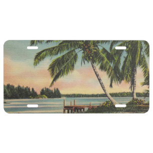 Vintage Coconut Palm Tree Tropical Breeze Sunset License Plate