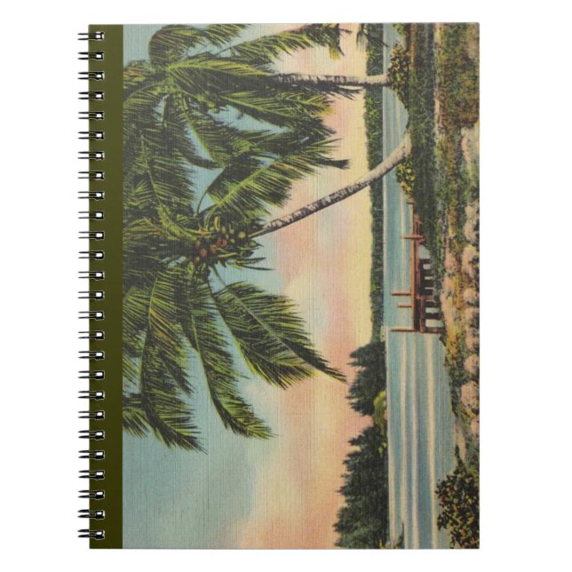 Vintage Coconut Palm Tree Tropical Breeze Sunset Notebook (Front)