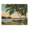 Vintage Coconut Palm Tree Tropical Breeze Sunset