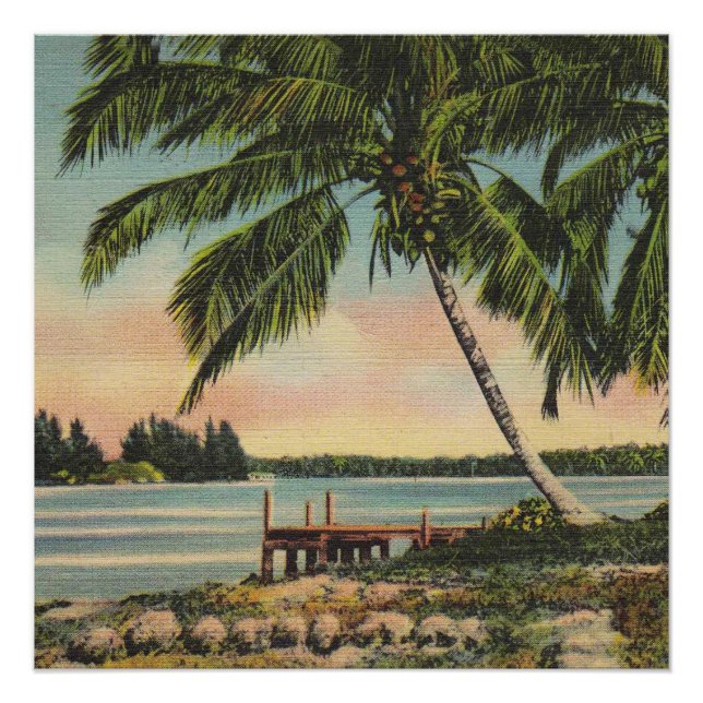 Vintage Coconut Palm Tree Tropical Breeze Sunset Poster (Front)