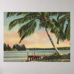 Vintage Coconut Palm Tree Tropical Breeze Sunset Poster