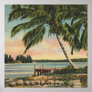Vintage Coconut Palm Tree Tropical Breeze Sunset Poster