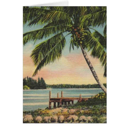 Vintage Coconut Palms Tropical Breeze Sunset