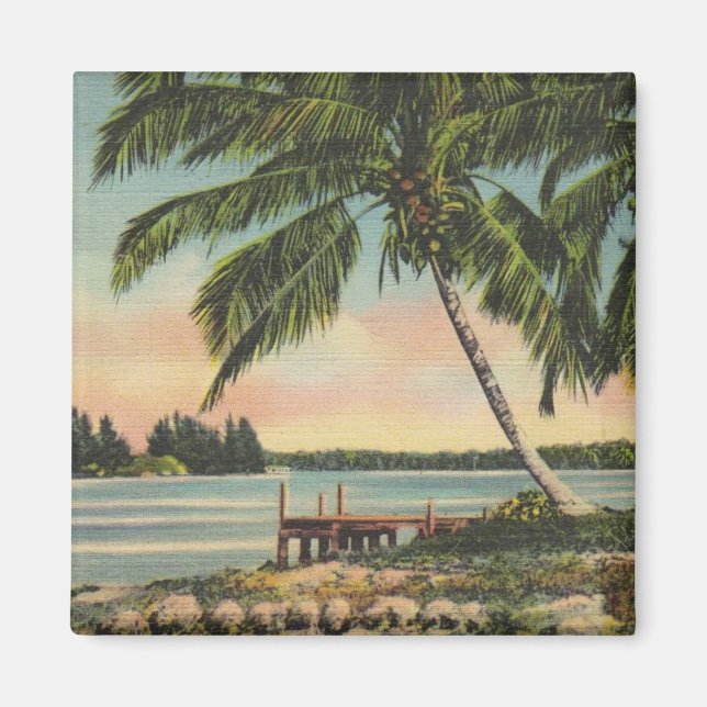 Vintage Coconut Palms Tropical Breeze Sunset Magnet (Front)