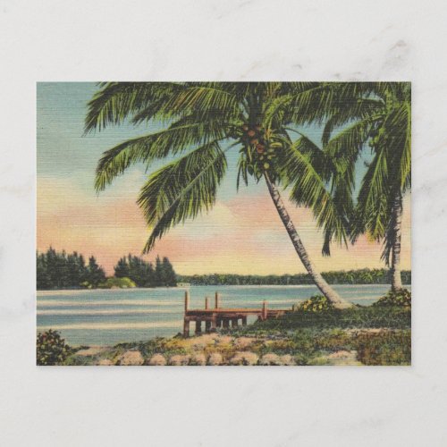 Vintage Coconut Palms Tropical Breeze Sunset Postcard