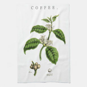 Vintage Coffee Plant Illustration Towel