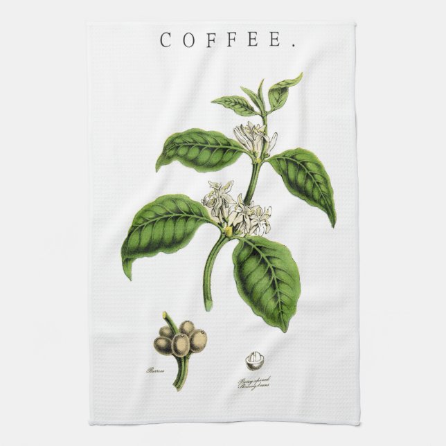 Vintage Coffee Plant Illustration Towel (Vertical)