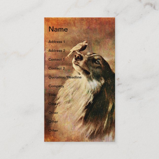 Vintage Collie and Bird Business Card (Front)