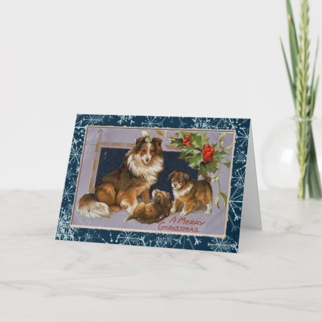 Vintage Collie Dogs Christmas Card (Front)
