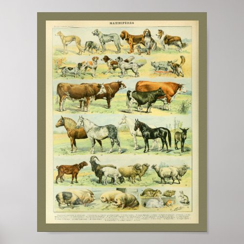 Vintage Color Farm Animals Print