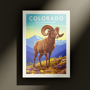 Vintage Colorado Postcard