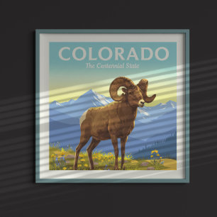 Vintage Colorado Poster