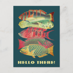 Vintage Colorful Barrier Reef Fish Hello There Postcard