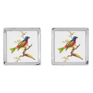 Vintage Colorful Bird on Branch Design Cufflinks